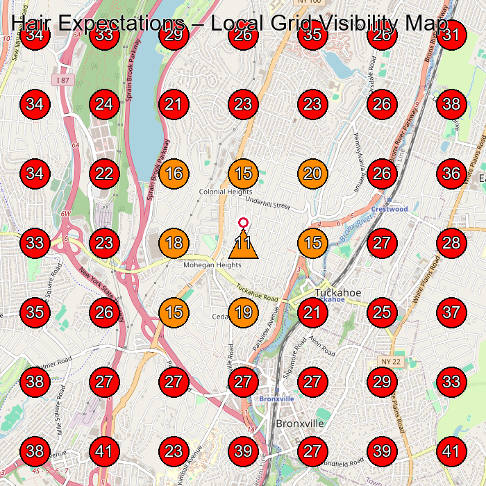 Hair Expectations GeoGrid visibility map for Beauty Salon in Yonkers